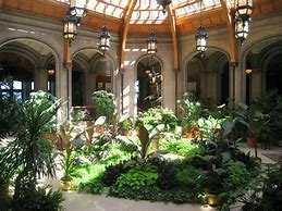 Interior Plantscaping And Maintenance Business